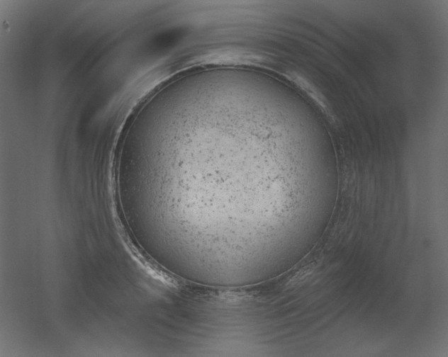 X0000052640848200507011344