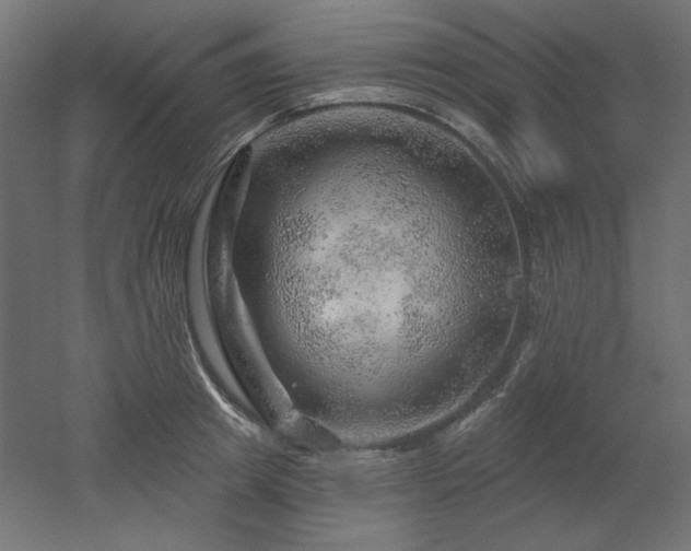 X0000052640849200507011344