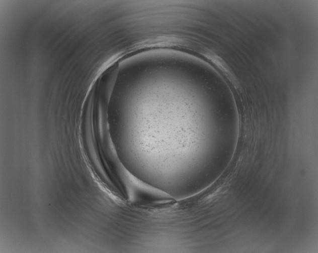 X0000052640850200507011344