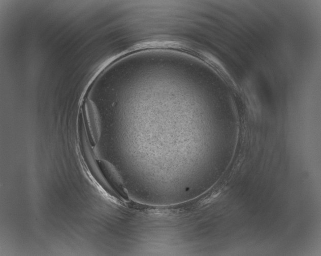 X0000052640852200507011344