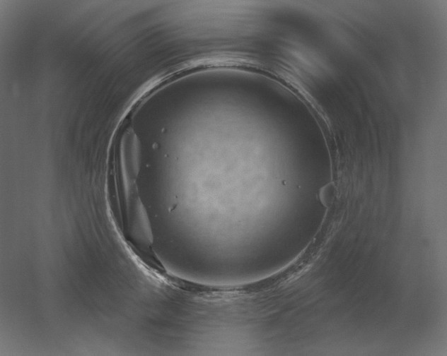 X0000052640853200507011344