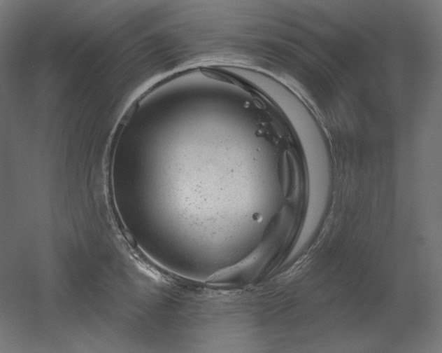 X0000052640854200507011344