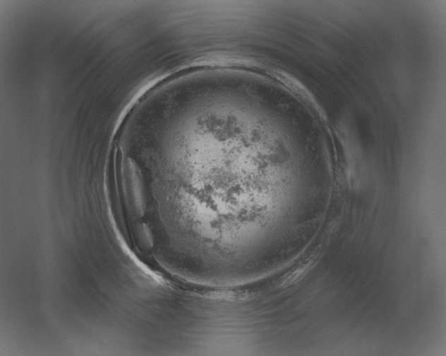 X0000052640855200507011344