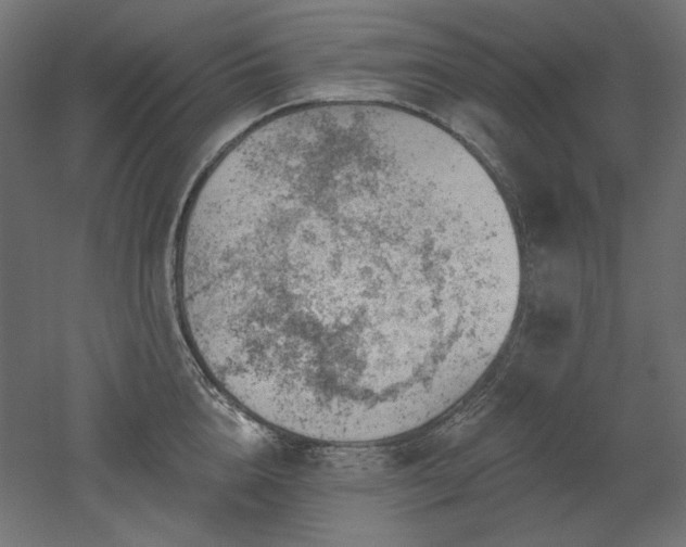 X0000052640856200507011344