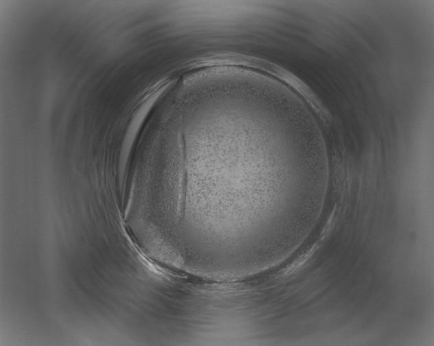 X0000052640857200507011344