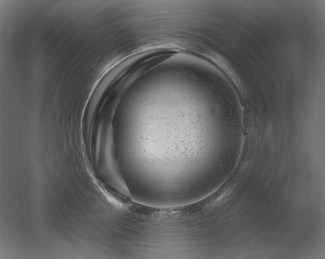 X0000052640858200507011344