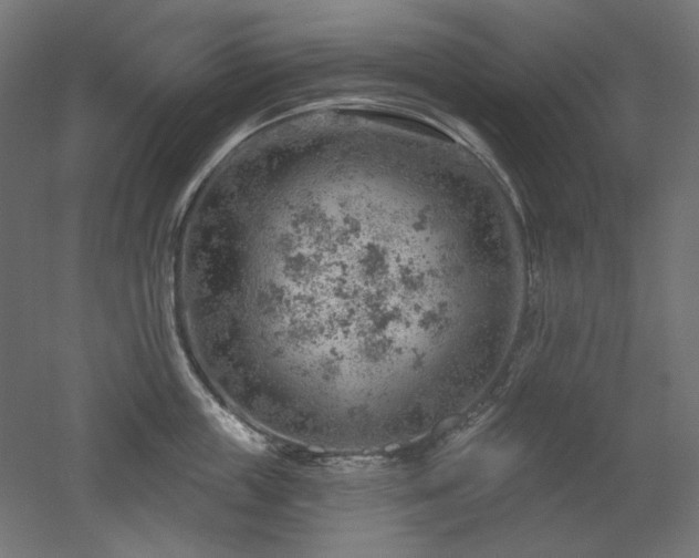 X0000052640859200507011344