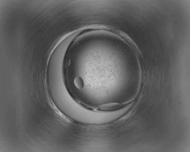 X0000052640860200507011344