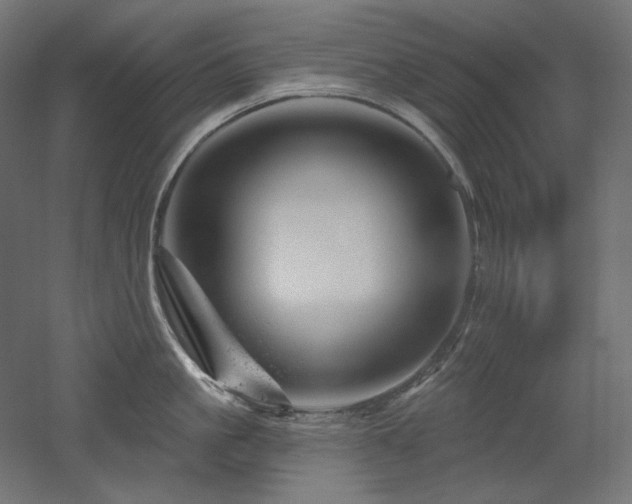 X0000052640861200507011344