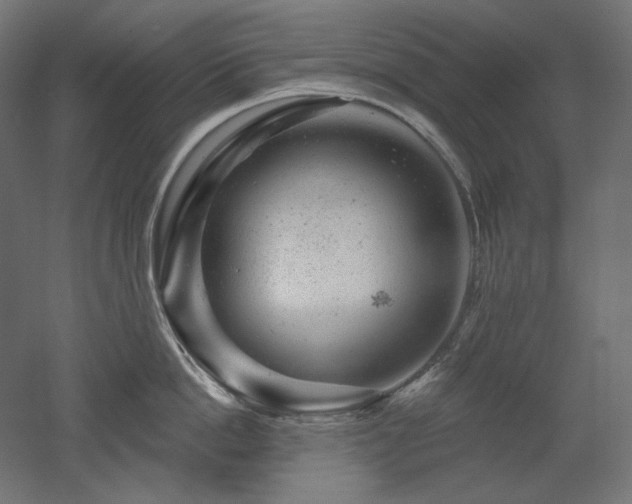 X0000052640862200507011344