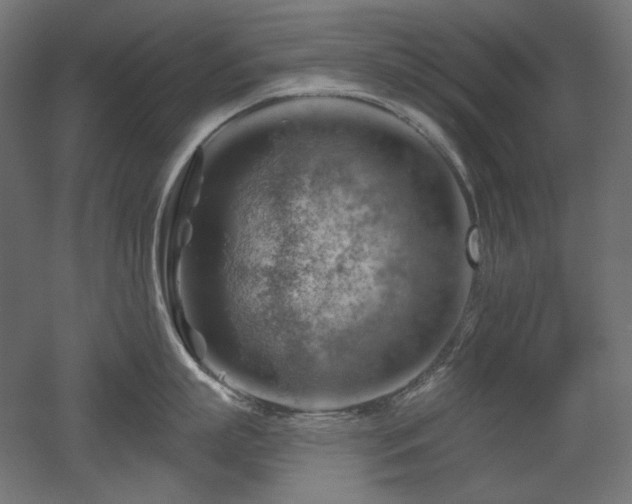 X0000052640863200507011344