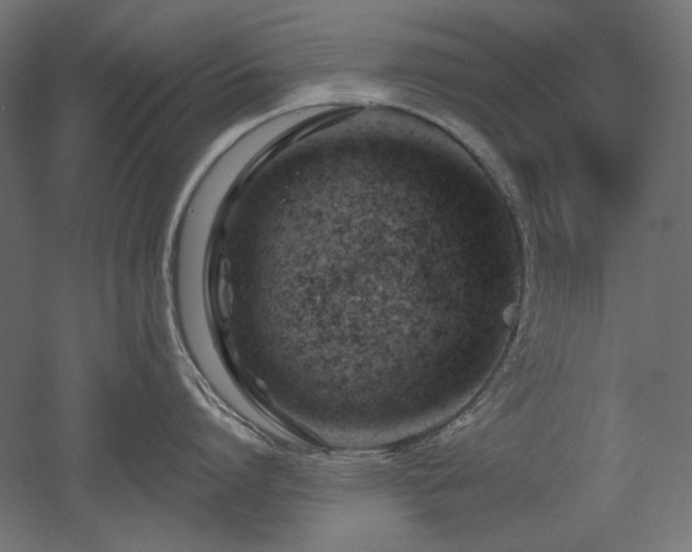 X0000052640864200507011344