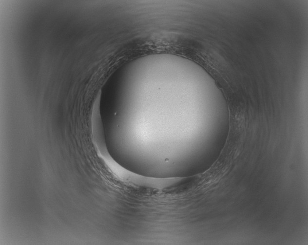 X0000052640865200507011344