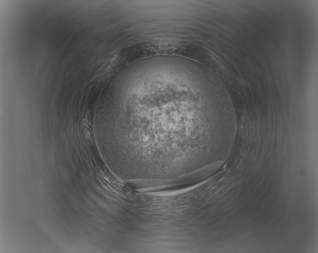 X0000052640866200507011344