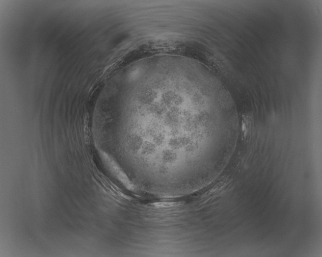 X0000052640867200507011344