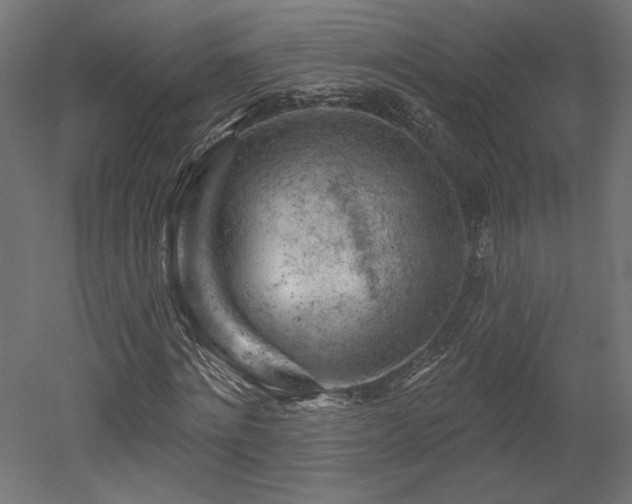 X0000052640868200507011344