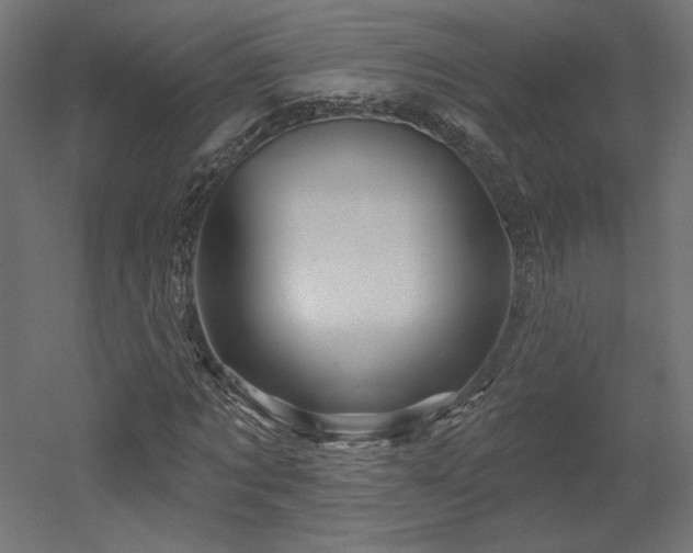 X0000052640869200507011343