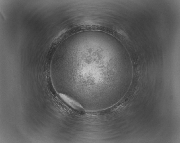 X0000052640870200507011343