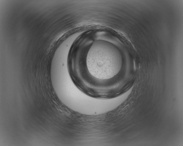 X0000052640871200507011343