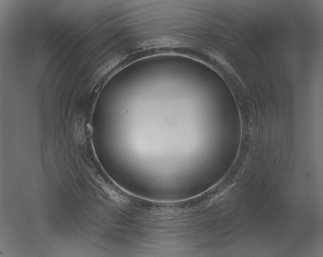 X0000052640873200507011343