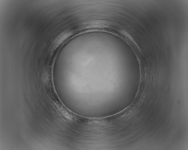 X0000052640874200507011343