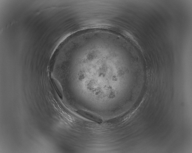 X0000052640875200507011343