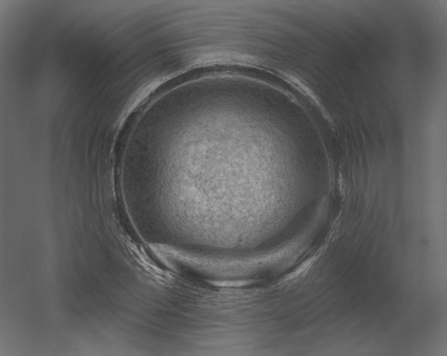 X0000052640877200507011343