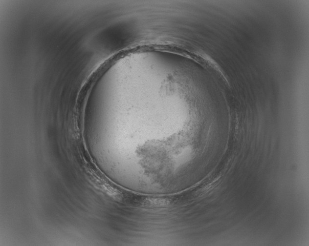 X0000052640878200507011343