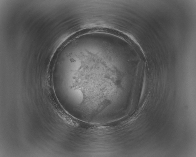 X0000052640879200507011343