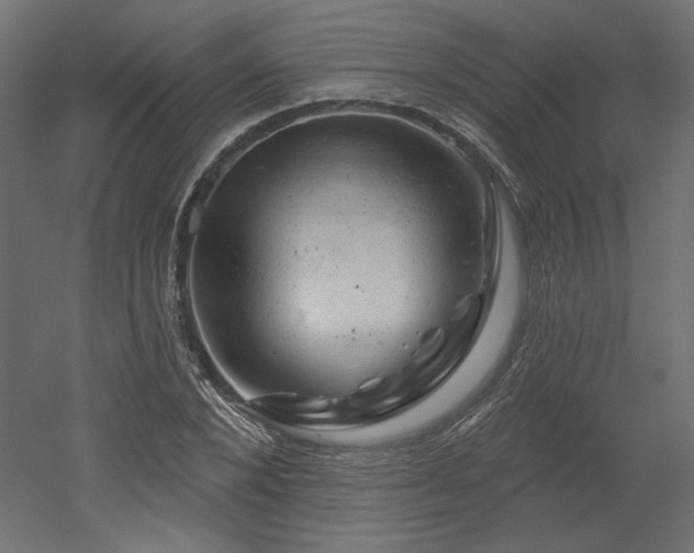 X0000052640880200507011343