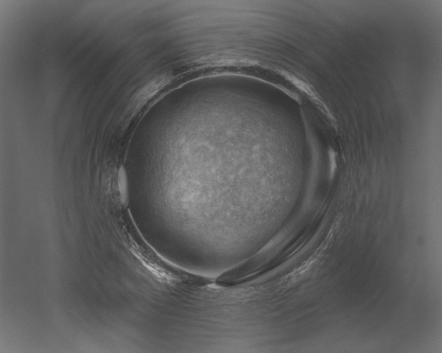 X0000052640881200507011343