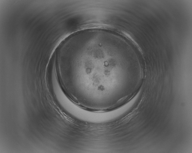 X0000052640883200507011343