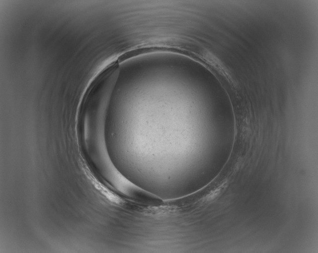 X0000052640884200507011343