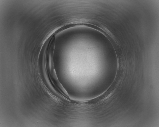 X0000052640885200507011343