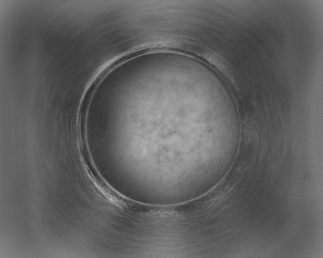 X0000052640886200507011343