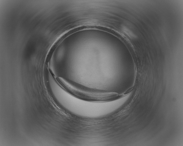 X0000052640887200507011343