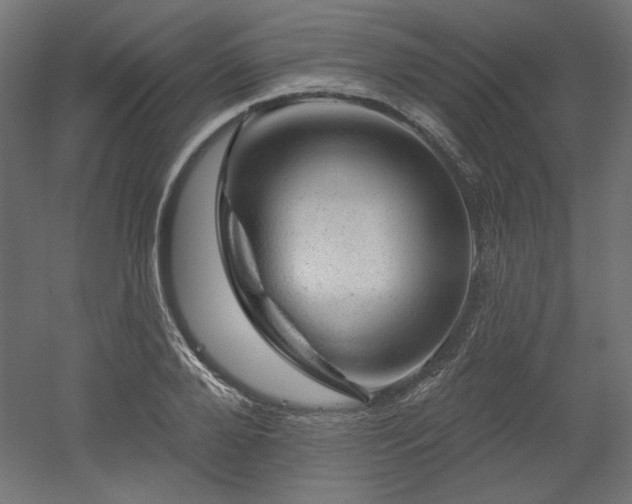 X0000052640888200507011343