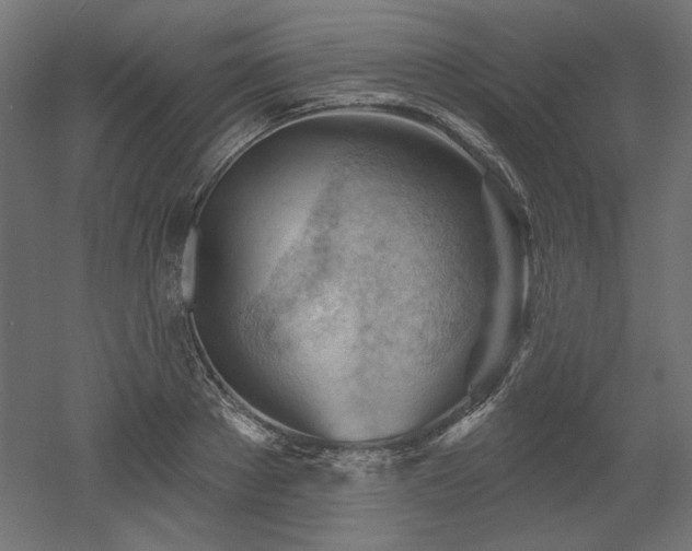 X0000052640889200507011343