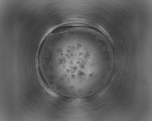 X0000052640891200507011343