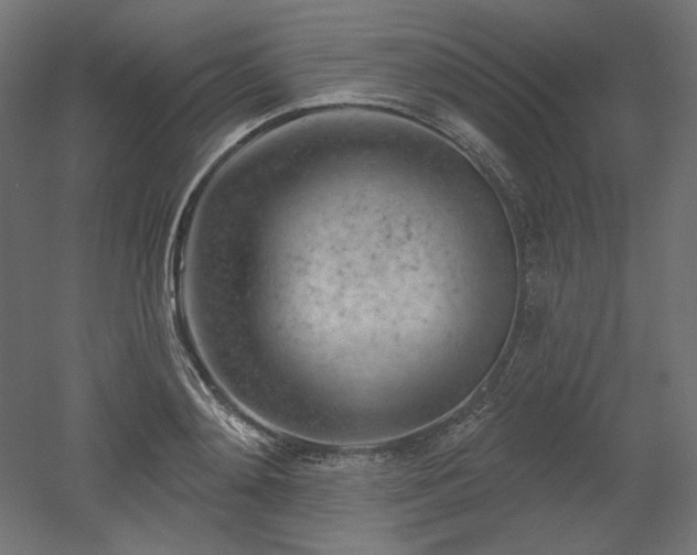 X0000052640892200507011343