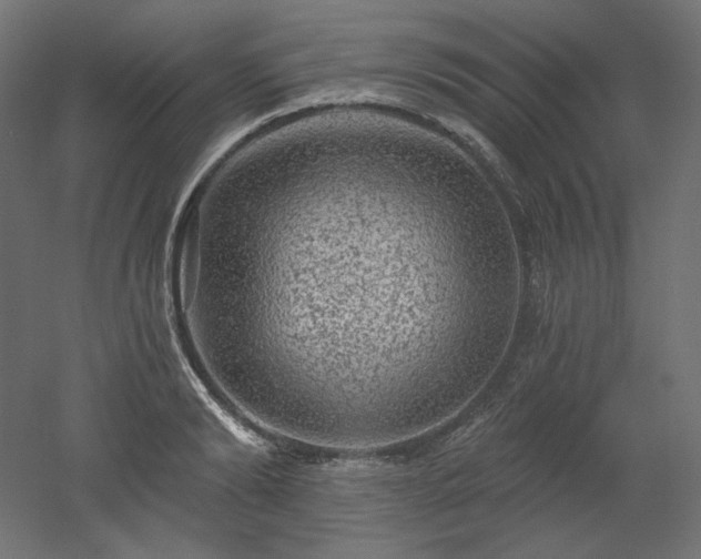 X0000052640894200507011343