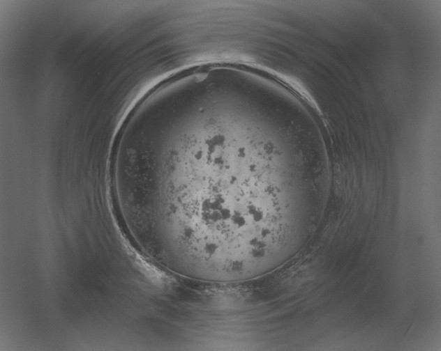 X0000052640895200507011343