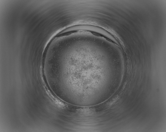 X0000052640896200507011343