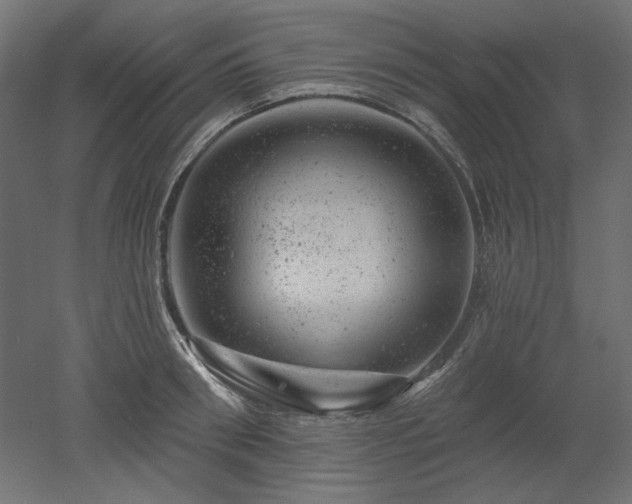 X0000052640898200507011343