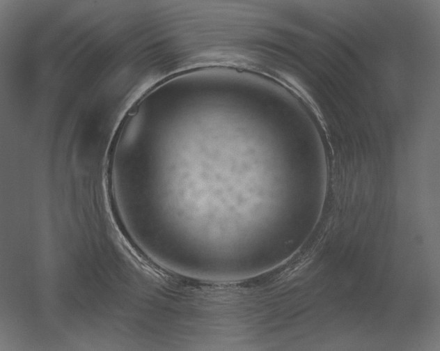 X0000052640899200507011343