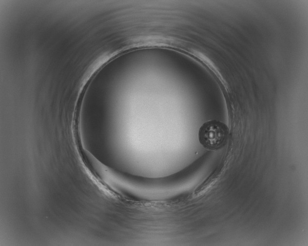 X0000052640901200507011343