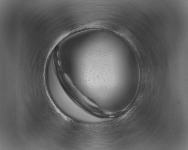 X0000052640902200507011343