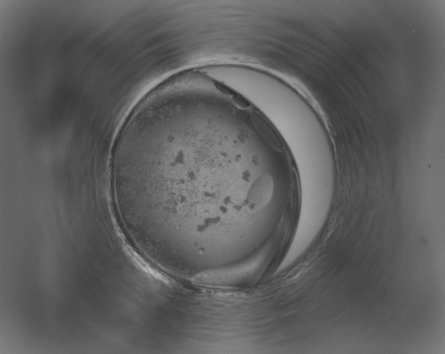 X0000052640903200507011343