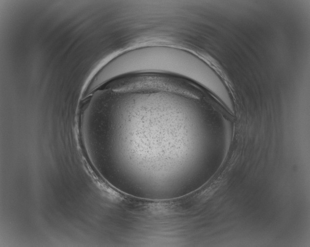 X0000052640904200507011343