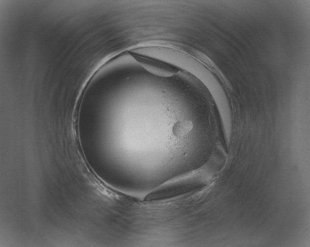 X0000052640908200507011343